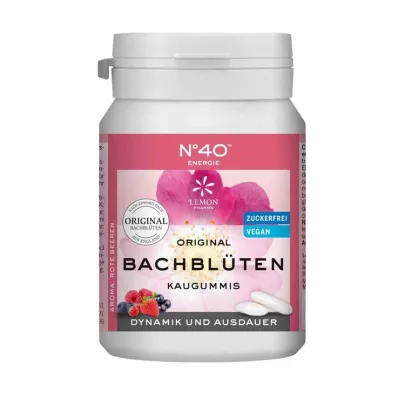 ENERGIE KAUGUMMI according to Dr.Bach, 40 pcs ENERGIE KAUGUMMI according to Dr.Bach, 40 pcs
