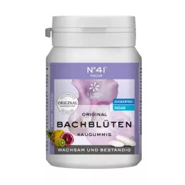 KONZENTRATION Chewing gum according to Dr.Bach, 40 pcs