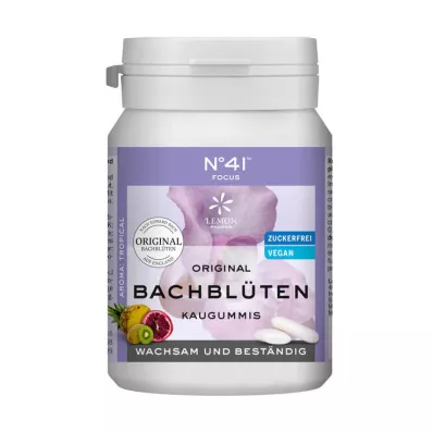 KONZENTRATION Chewing gum according to Dr.Bach, 40 pcs