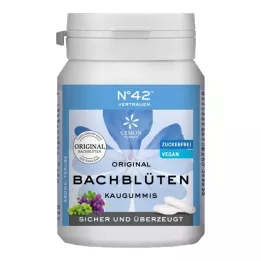 SELBSTVERTRAUEN Chewing gum according to Dr.Bach, 40 pcs