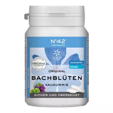 SELBSTVERTRAUEN Chewing gum according to Dr.Bach, 40 pcs