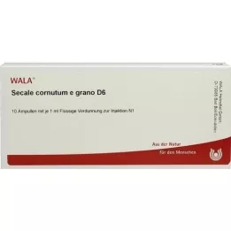 SECALE CORNUTUM E grano D 6 Ampoules, 10X1 ml