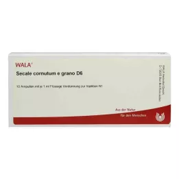 SECALE CORNUTUM E grano D 6 Ampoules, 10X1 ml