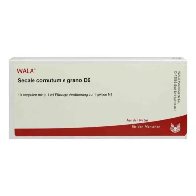 SECALE CORNUTUM E grano D 6 Ampoules, 10X1 ml