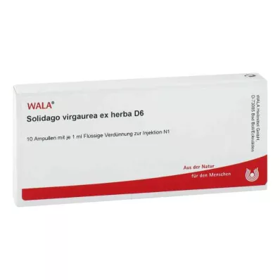 SOLIDAGO VIRGAUREA ex herba D 6 Ampoules, 10X1 ml