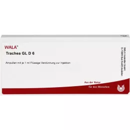 TRACHEA GL D 6 Ampoules, 10X1 ml