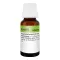REVET H 5 globules for pets, 10 g