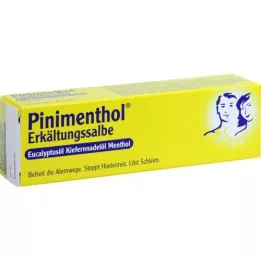 PINIMENTHOL Cold Ointment Eucal./Pine./Menth., 20 g