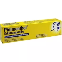 PINIMENTHOL Cold Ointment Eucal./Pine./Menth., 100 g