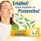 PINIMENTHOL Cold Ointment Eucal./Pine./Menth., 100 g