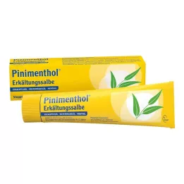 PINIMENTHOL Cold Ointment Eucal./Pine./Menth., 100 g
