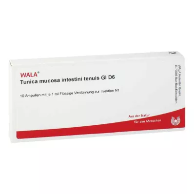 TUNICA mucosa intestini tenuis GL D 6 ampoules, 10X1 ml