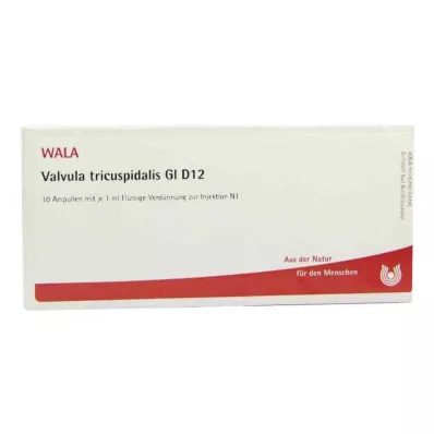 VALVULA tricuspidalis GL D 12 ampoules, 10X1 ml VALVULA tricuspidalis GL D 12 ampoules, 10X1 ml