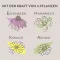 APOTHEKERS Lip balm, 1 pc