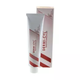 DERMI CYL Skin care ointment, 100 g