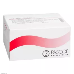 PECTAPAS CPL Injektopas ampoules, 100 pcs
