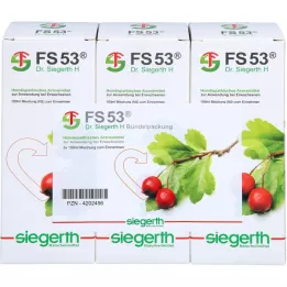 FS 53 Dr.Siegerth H liquid, 3X100 ml