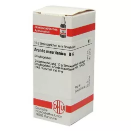 ARUNDO mauritanica D 6 globules, 10 g