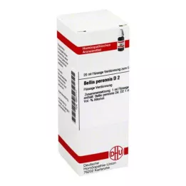 BELLIS PERENNIS D 2 Dilution, 20 ml