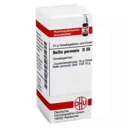 BELLIS PERENNIS D 30 globules, 10 g