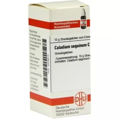 CALADIUM seguinum C 30 globules, 10 g