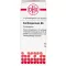 CARDIOSPERMUM D 6 globules, 10 g