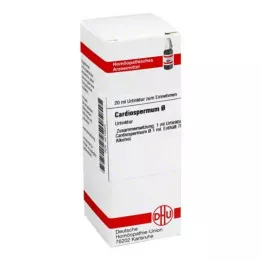 CARDIOSPERMUM mother tincture, 20 ml