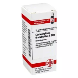 CAULOPHYLLUM THALICTROIDES C 200 globules, 10 g