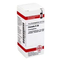 CLEMATIS D 30 globules, 10 g