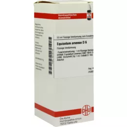 EQUISETUM ARVENSE D 6 Dilution, 50 ml