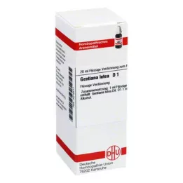GENTIANA LUTEA D 1 Dilution, 20 ml