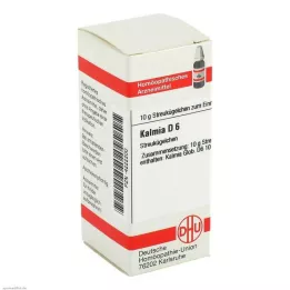 KALMIA D 6 globules, 10 g