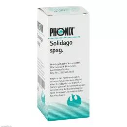 PHÖNIX SOLIDAGO spag.mixture, 100 ml
