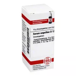 SERUM ANGUILLAE D 12 globules, 10 g