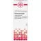 PANAX GINSENG D 6 Dilution, 20 ml