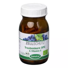 OPC TRAUBENKERN & Vitamin C Capsules, 90 Capsules