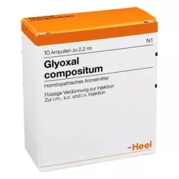 GLYOXAL compositum ampoules, 10 pcs