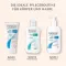 PHYSIOGEL Daily Moisture Therapy Shower Cream, 150 ml