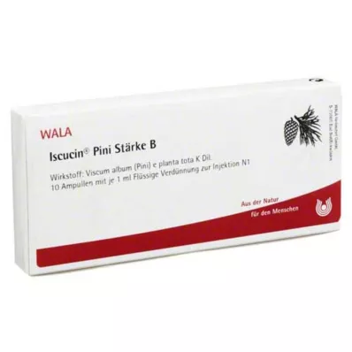 ISCUCIN pini Starch B Ampoules, 10X1 ml ISCUCIN pini Starch B Ampoules, 10X1 ml