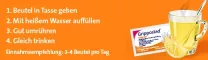 Instructions for use for Grippostad hot drink for pain and fever, 10 pcs - 3