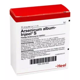 ARSENICUM ALBUM INJEEL S Ampoules, 10 pc