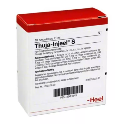 THUJA INJEEL S Ampoules, 10 pc THUJA INJEEL S Ampoules, 10 pc
