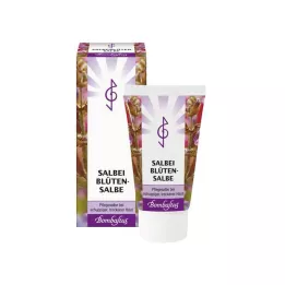 SALBEIBLÜTEN-Ointment, 75 ml