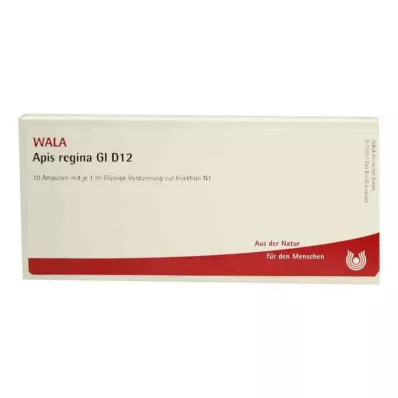 APIS REGINA GL D 12 Ampoules, 10X1 ml