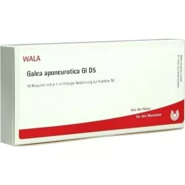 GALEA aponeurotica GL D 5 ampoules, 10X1 ml