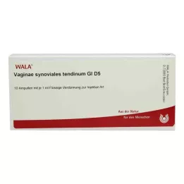 VAGINAE synovial tendinum GL D 5 ampoules, 10X1 ml