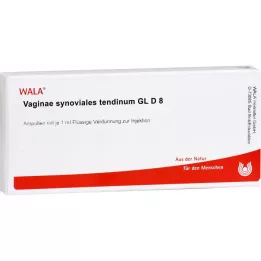 VAGINAE synovial tendinum GL D 8 ampoules, 10X1 ml