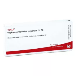 VAGINAE synovial tendinum GL D 8 ampoules, 10X1 ml