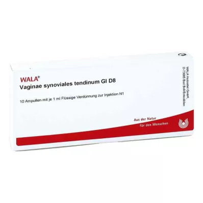 VAGINAE synovial tendinum GL D 8 ampoules, 10X1 ml VAGINAE synovial tendinum GL D 8 ampoules, 10X1 ml