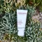 ALOE VERA CREME medium without fragrance, 30 ml